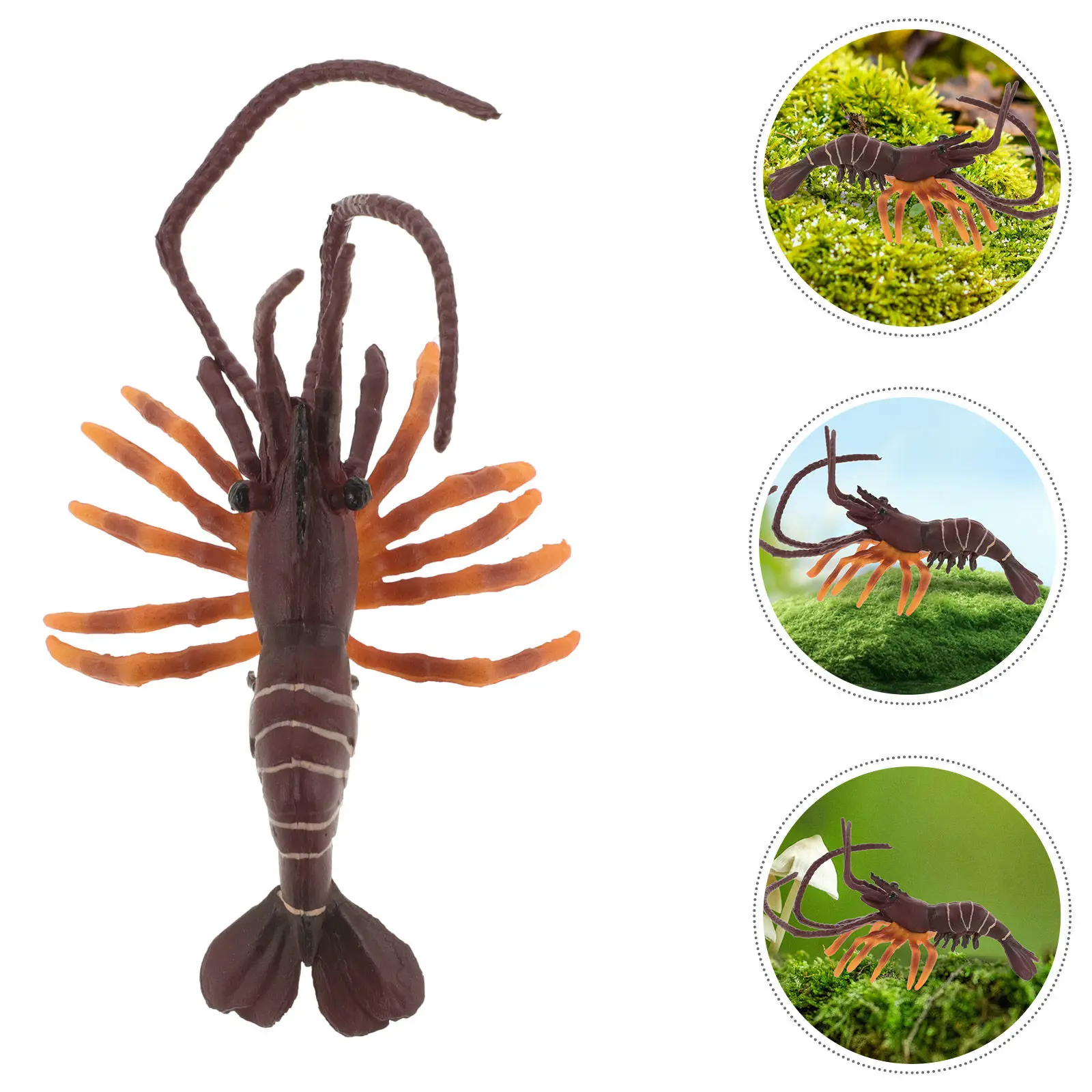 Realistic Shrimp Simulation Decorative Shrimp Display for Home Garden Balcony Photography Prop Learning Lifelike Shrimp,
Realistic Shrimp Simulation Decorative Shrimp Display for Home Garden Balcony Photography Prop Learning Lifelike Shrimp,