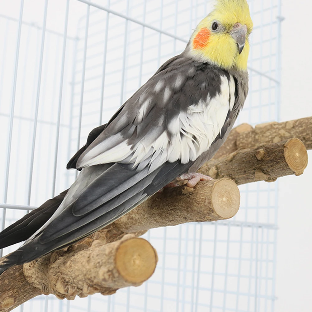 Wooden Bird Toys Parrot St Perch Durable Hardwood Parrot St Cage Frame Climbing Toy Bird Training Supplies
Wooden Bird Toys Parrot St Perch Durable Hardwood Parrot St Cage Frame Climbing Toy Bird Training Supplies