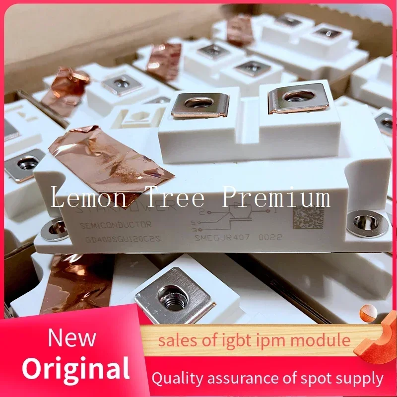 GD200SGT120C2S GD300SGL120C2S GD400SGT170C2S GD400SGX170C2S GD600SGL120C2S GD400SGU120C2S Original IGBT Module
GD200SGT120C2S GD300SGL120C2S GD400SGT170C2S GD400SGX170C2S GD600SGL120C2S GD400SGU120C2S Original IGBT Module