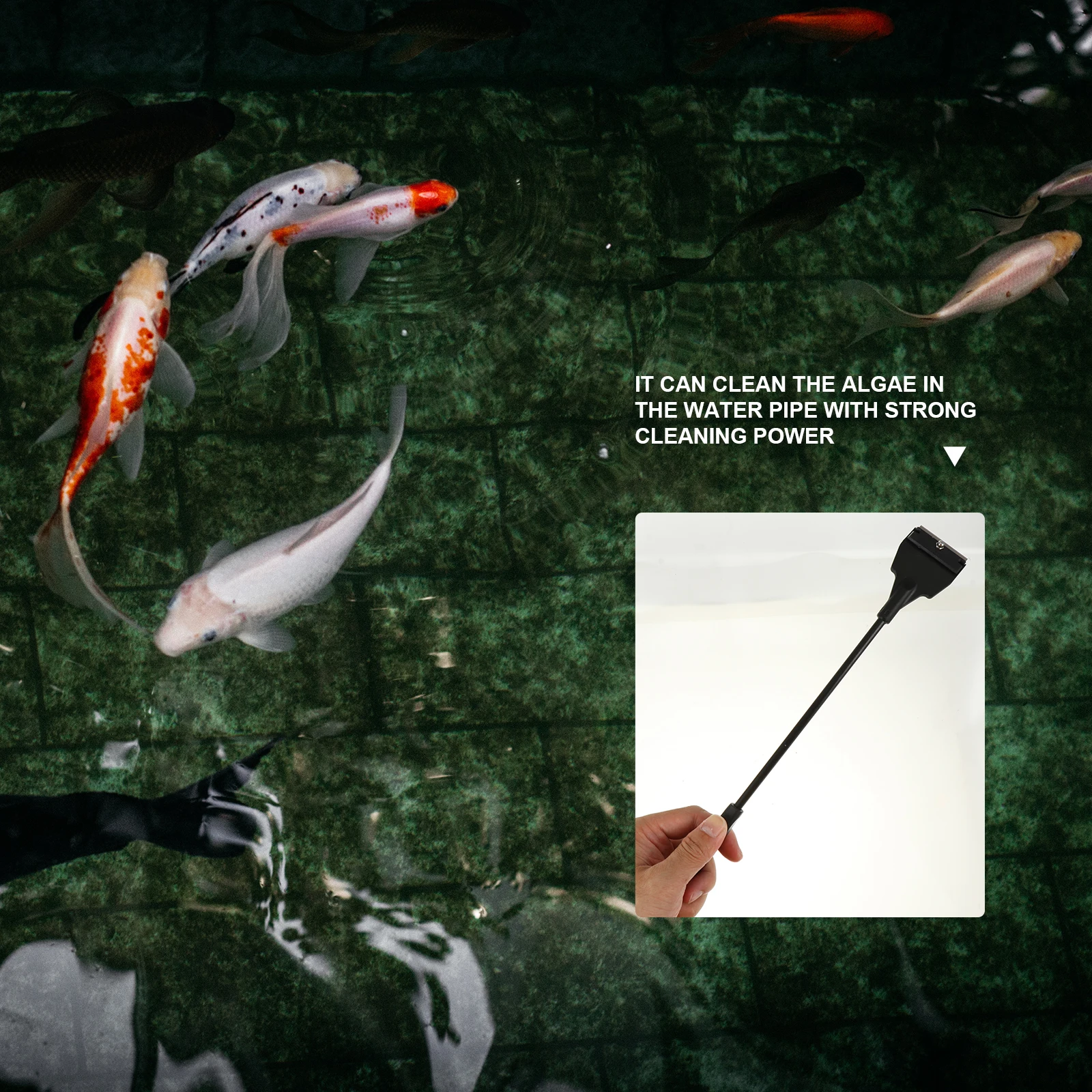 5pcs Aquarium Fish Tank Cleaning Scrubber Brush Replaceable Heads Long Handle Plastic Wall Hanging Suitable For Glass Acrylic
5pcs Aquarium Fish Tank Cleaning Scrubber Brush Replaceable Heads Long Handle Plastic Wall Hanging Suitable For Glass Acrylic