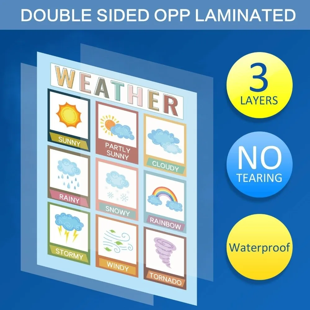 12/16 шт. цифры 1-10 плакат с алфавитом настенная диаграмма интерактивные цвета плакат развивающие диаграммы для малышей обучение английском
12/16 шт. цифры 1-10 плакат с алфавитом настенная диаграмма интерактивные цвета плакат развивающие диаграммы для малышей обучение английском