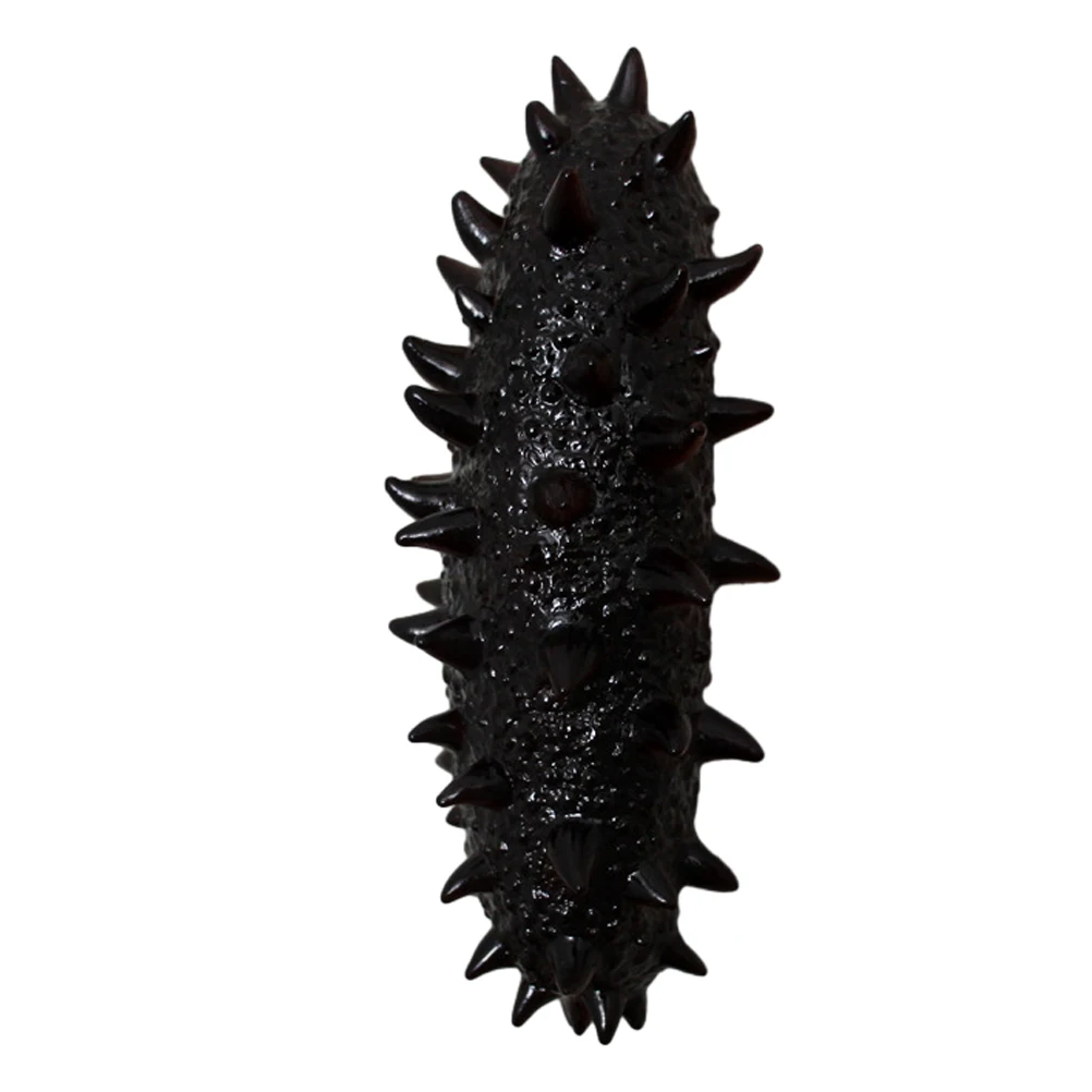 Lifelike Simulated Sea Cucumber Decor Models PVC Trepang Food Model DisplayDecoration Educational Playthings Cognitive
Lifelike Simulated Sea Cucumber Decor Models PVC Trepang Food Model DisplayDecoration Educational Playthings Cognitive