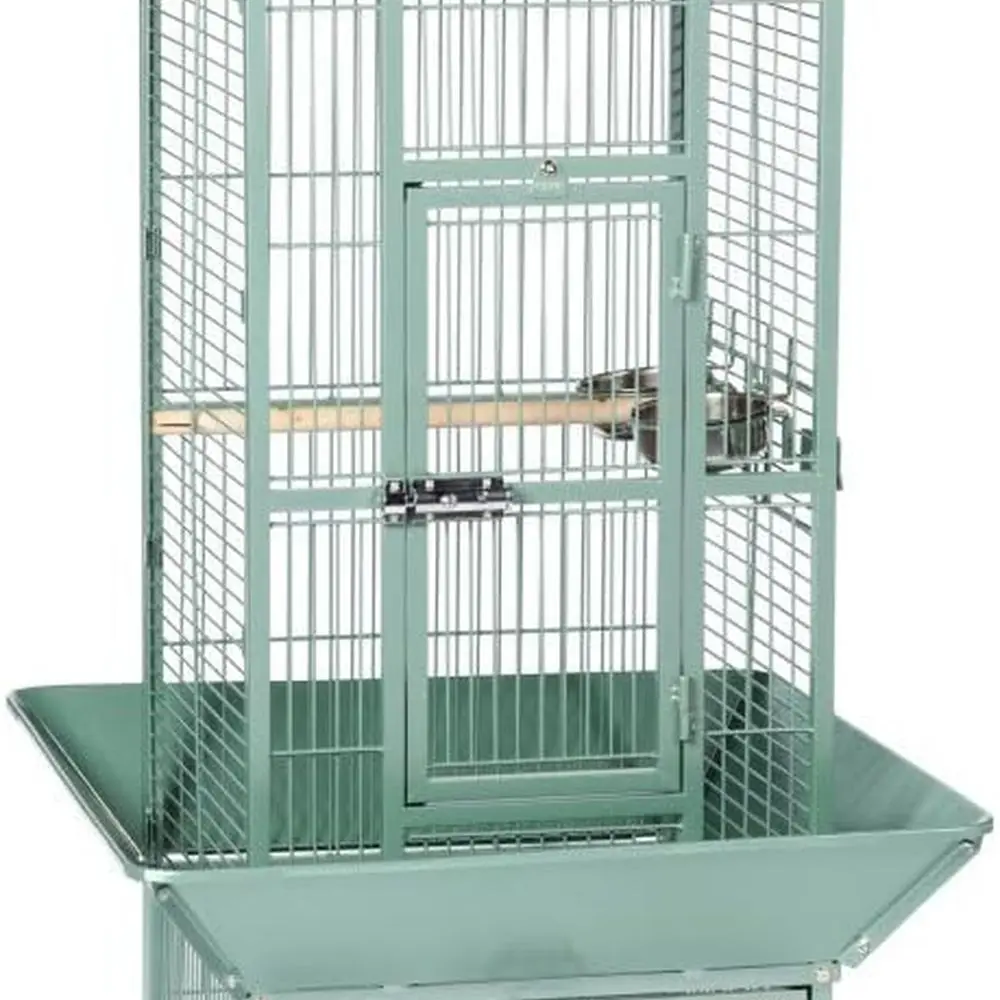 Клетка для выбора из кованого железа — мудрец, 18 x 18 x 57
Клетка для выбора из кованого железа — мудрец, 18 x 18 x 57