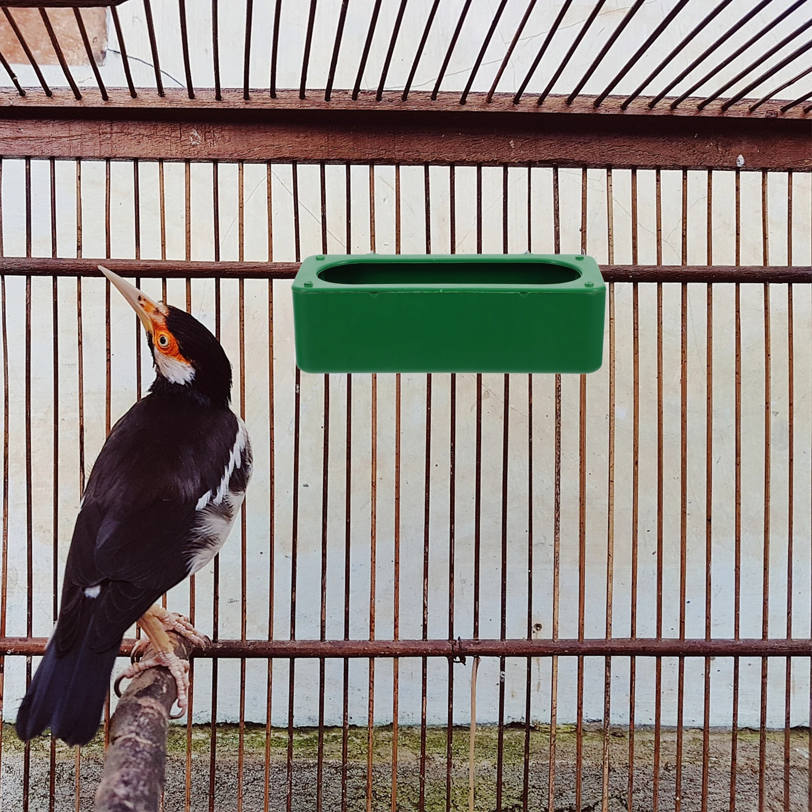 3Pcs Bird Cage Bowls Durable No Mess Water Feeder for Parrots Pigeons Small Birds Indoor Accessories Bird Cage Bowls
3Pcs Bird Cage Bowls Durable No Mess Water Feeder for Parrots Pigeons Small Birds Indoor Accessories Bird Cage Bowls