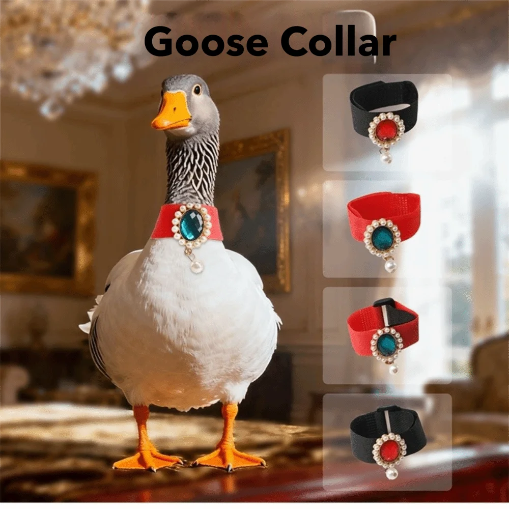 New Adjustable Rooster Collar Reduce Crowing Anti Noise Anti Noise Collar No Crow Neck Belt Backyard Use
New Adjustable Rooster Collar Reduce Crowing Anti Noise Anti Noise Collar No Crow Neck Belt Backyard Use