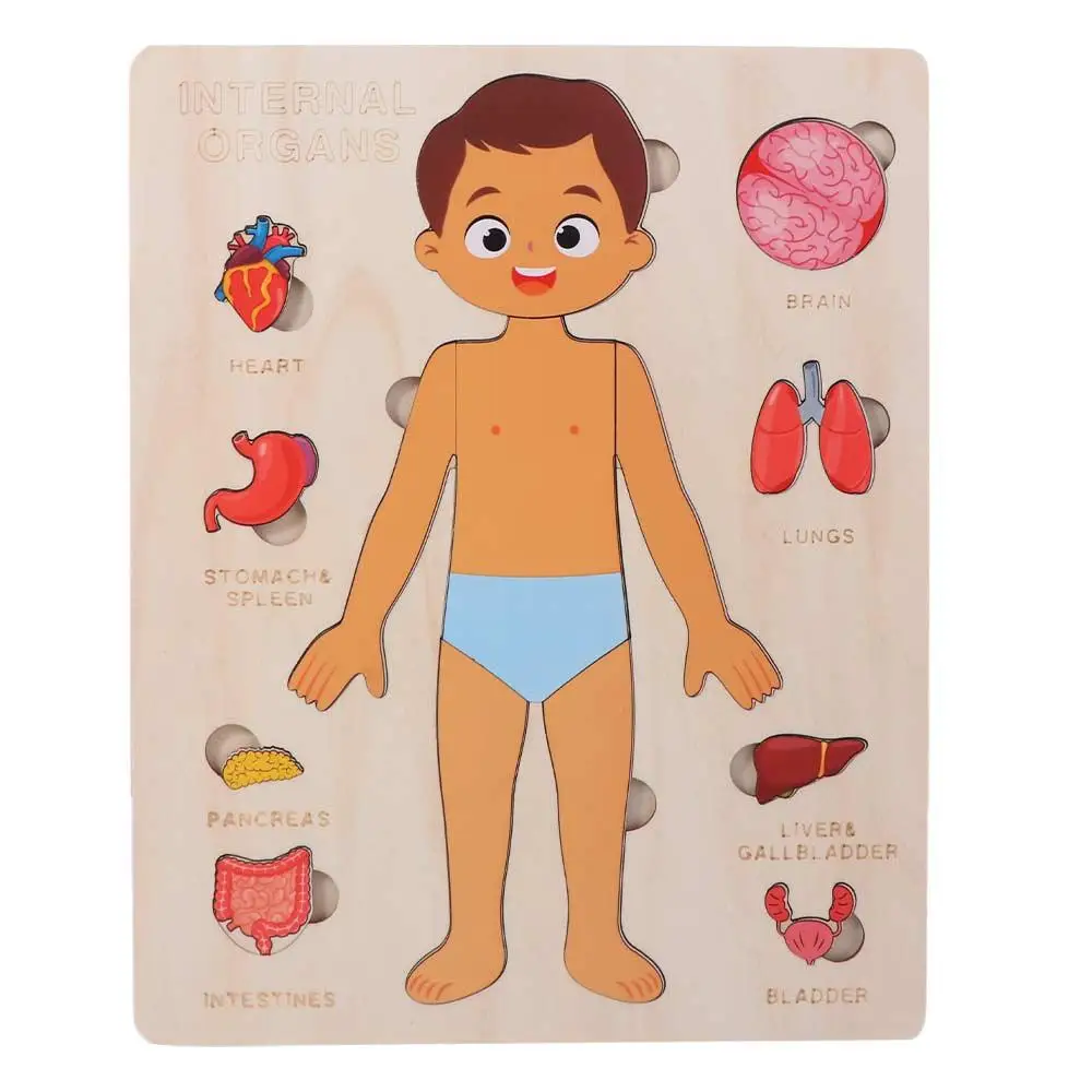 Multi-Layer Wooden Human Body Puzzle Activities Busy Board Parent-child Interaction Body Structure Puzzle Boys Girls Panel Toy
Multi-Layer Wooden Human Body Puzzle Activities Busy Board Parent-child Interaction Body Structure Puzzle Boys Girls Panel Toy