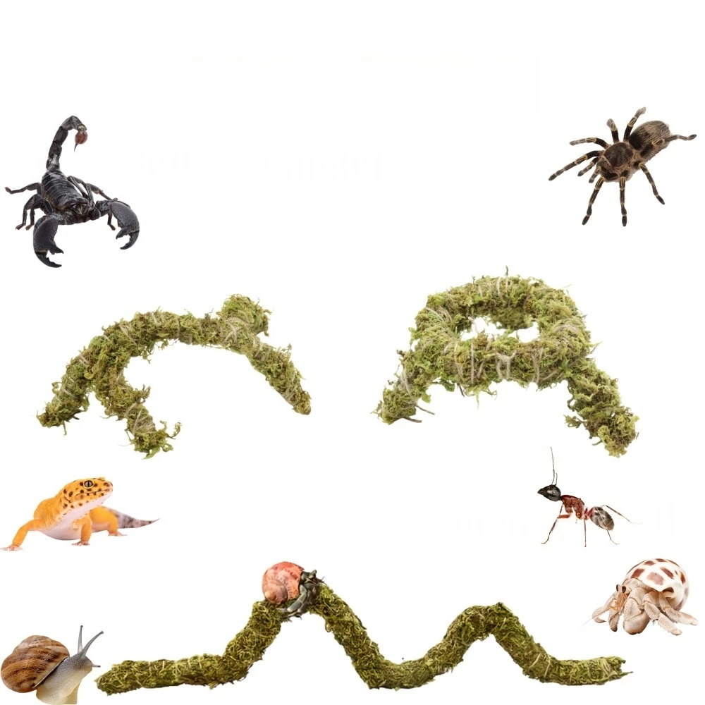 Reptile Moss Climbing Bridge Small Pet Toys Habitat Decoration for Small animals Natural Moss Crawling Ramp
Reptile Moss Climbing Bridge Small Pet Toys Habitat Decoration for Small animals Natural Moss Crawling Ramp