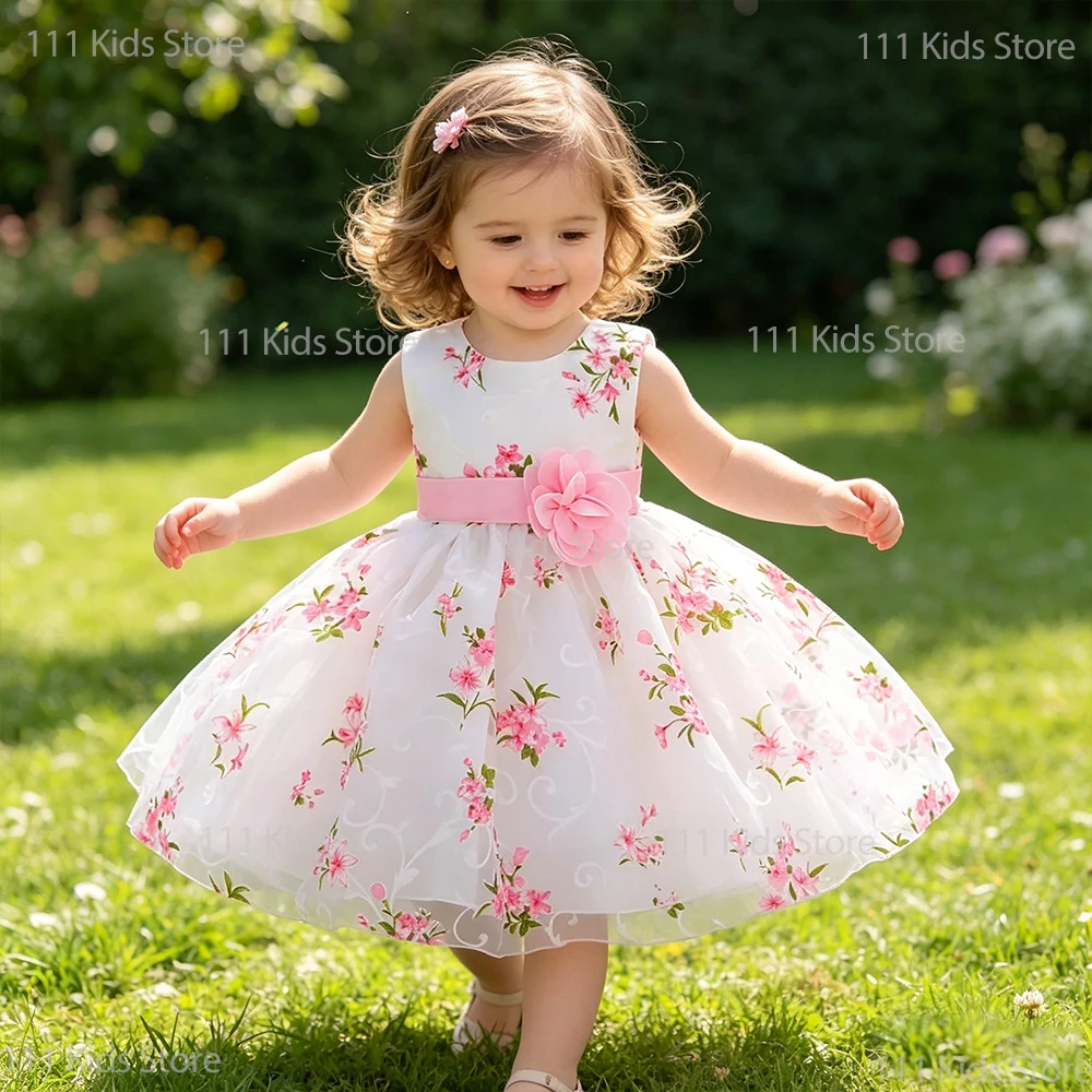 Baby Dresses for 1st Birthday Princess Party Dress Flower Baptism Costume Girls Print Floral Sleeveless Dress Newborn Clothes
Baby Dresses for 1st Birthday Princess Party Dress Flower Baptism Costume Girls Print Floral Sleeveless Dress Newborn Clothes