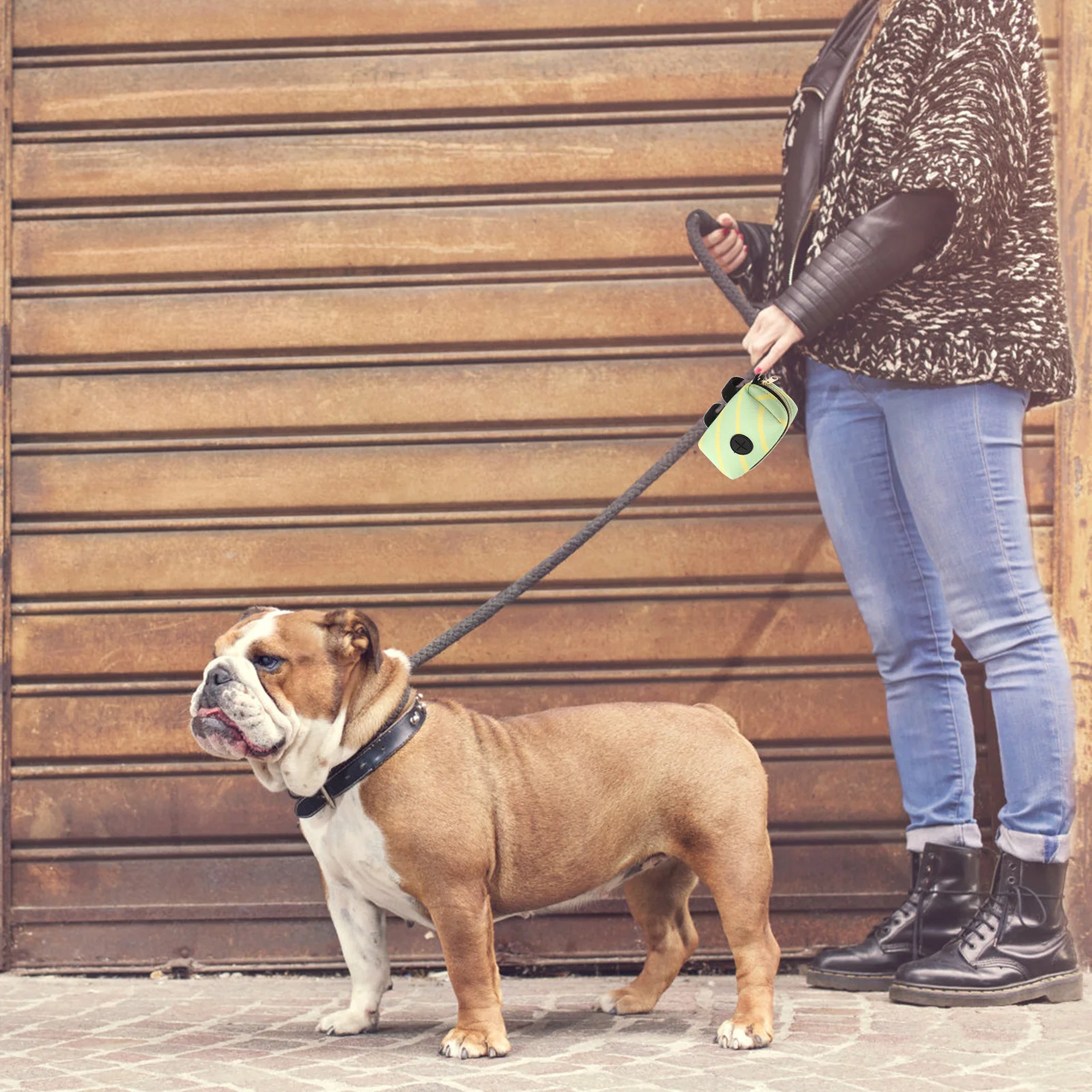 Poop Bag Holder for Dogs Wear-Resist Polyester Dog Poop Bag Dispenser Portable Outdoor Puppy Treat Pouch Walking Accessory
Poop Bag Holder for Dogs Wear-Resist Polyester Dog Poop Bag Dispenser Portable Outdoor Puppy Treat Pouch Walking Accessory