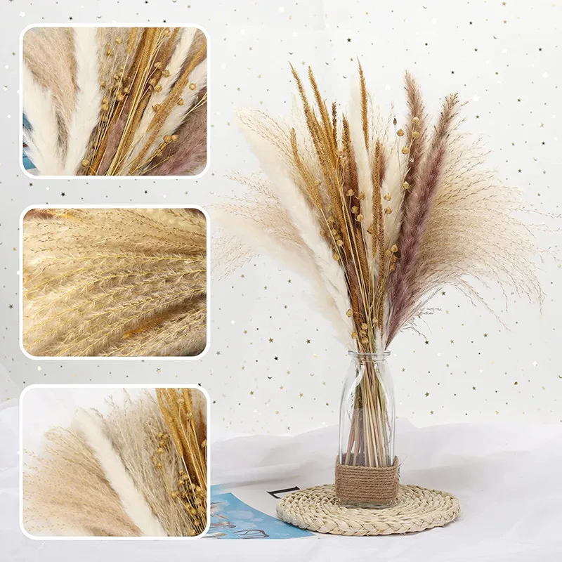 Pampas Grass Fluffy Wedding Arrangement Natural Phragmites Rabbit Tail Real Plant Dried Flowers Bouquet Boho Home Decoration
Pampas Grass Fluffy Wedding Arrangement Natural Phragmites Rabbit Tail Real Plant Dried Flowers Bouquet Boho Home Decoration