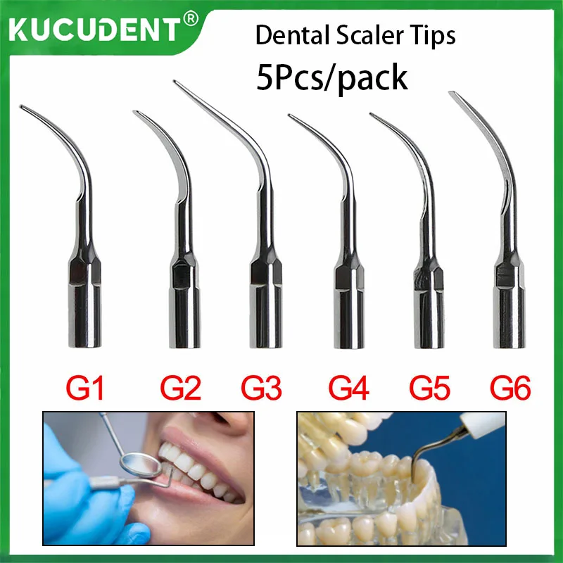 5Pcs/Pack Dental Scaler Tips Fit For EMS DTE Woodpecker Ultrasonic Piezo Scaler Handpiece G1-G6 Scaling Tip Dentistry Accessorie
5Pcs/Pack Dental Scaler Tips Fit For EMS DTE Woodpecker Ultrasonic Piezo Scaler Handpiece G1-G6 Scaling Tip Dentistry Accessorie
