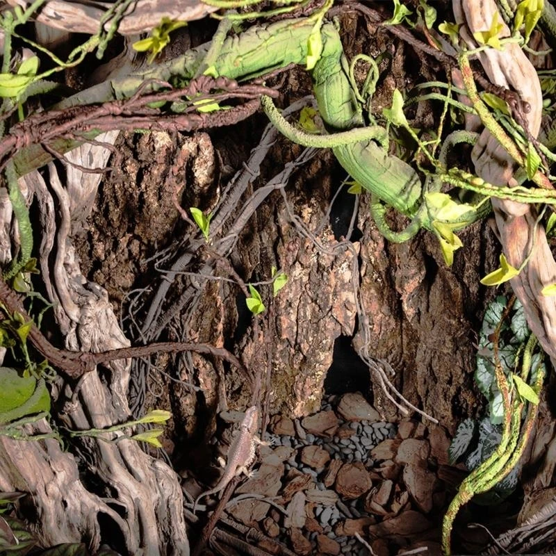 Climbing Vine Branch For Reptiles Habitats Easy Maintenances Install Vine Water Resistant Terrariums Landscape Plant 37JD
Climbing Vine Branch For Reptiles Habitats Easy Maintenances Install Vine Water Resistant Terrariums Landscape Plant 37JD
