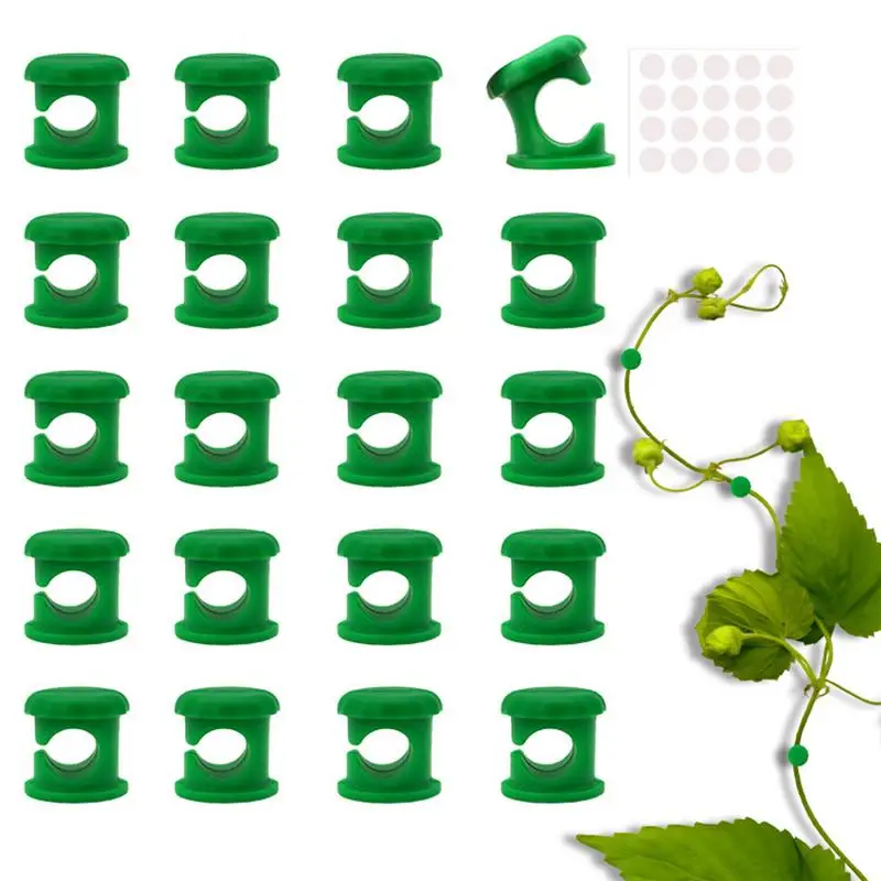 Plant Fixing Clips 20 Pieces Plant Support Clips Multi-functional Vine Wall Trellis Home Decoration For Enthusiasts Beginners
Plant Fixing Clips 20 Pieces Plant Support Clips Multi-functional Vine Wall Trellis Home Decoration For Enthusiasts Beginners