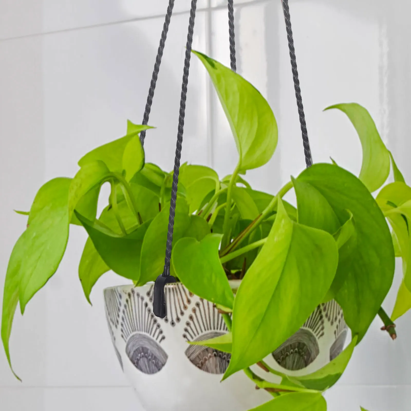 5 Pcs Hanging Basin Hook Planter Plastic Hooks Flowerpot Support Tools Hangers Coat Wall for Kitchen Short Bucket Holder
5 Pcs Hanging Basin Hook Planter Plastic Hooks Flowerpot Support Tools Hangers Coat Wall for Kitchen Short Bucket Holder