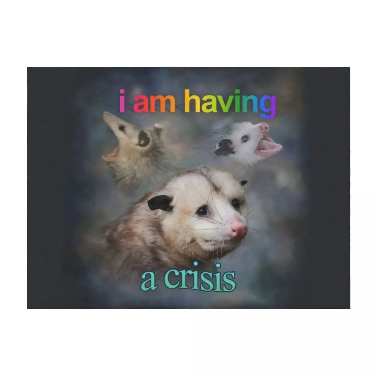 Я имею кризисным possum Word Art Плед Волосы Роскошные утолщенные летние мягкие одеяла
Я имею кризисным possum Word Art Плед Волосы Роскошные утолщенные летние мягкие одеяла