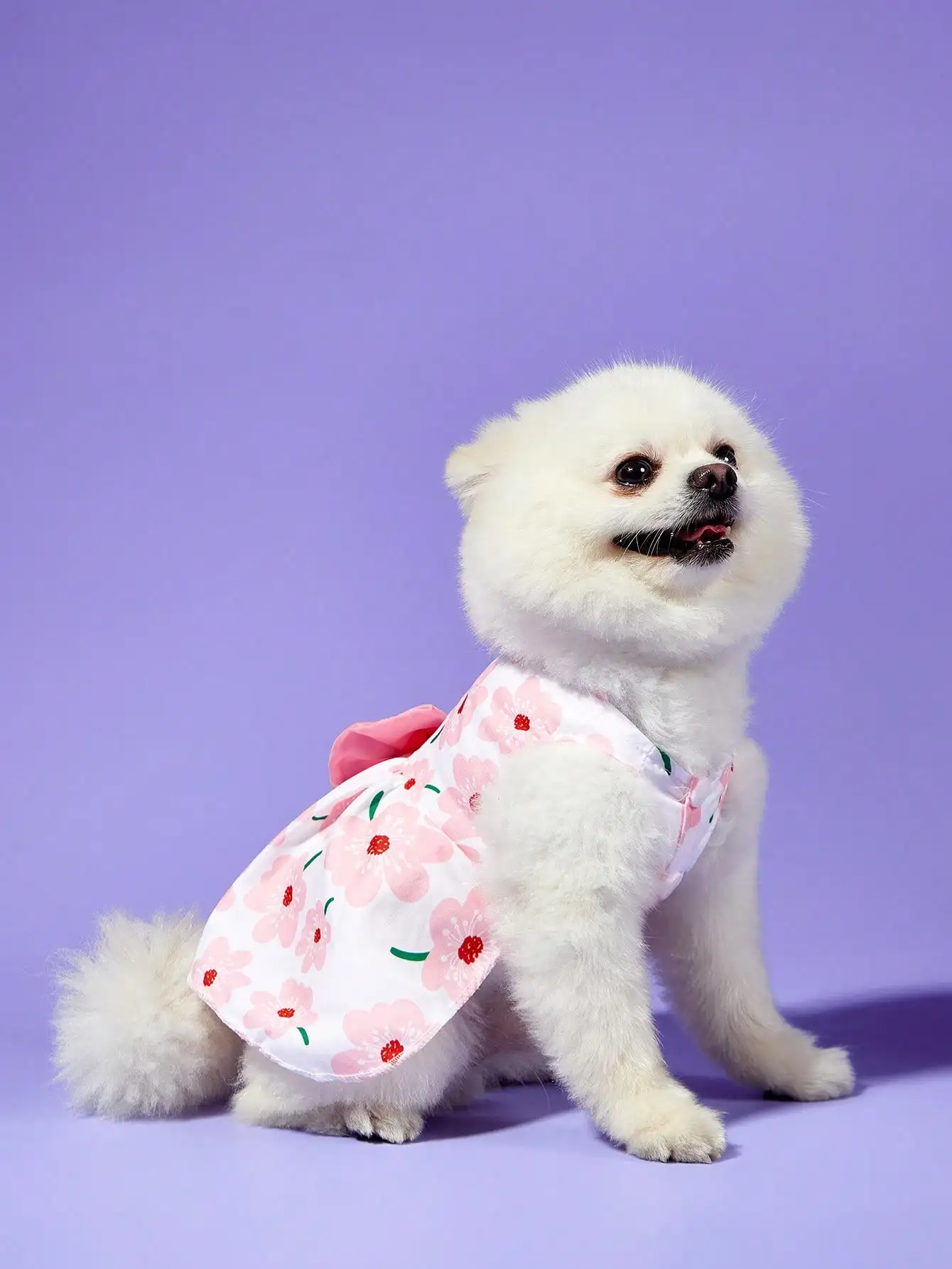Pink Bow Knot Floral Skirt Dress For Small Medium Dogs Spring Summer Pet Outfit
Pink Bow Knot Floral Skirt Dress For Small Medium Dogs Spring Summer Pet Outfit