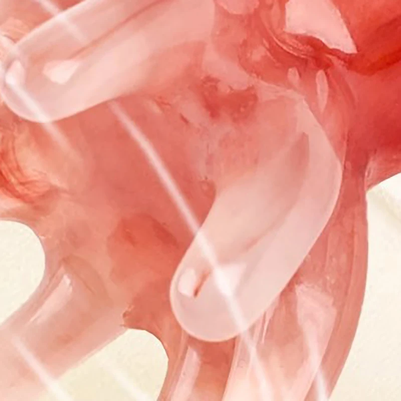 Tool Resin Octopus Comb Head Massager Meridian Scraping Scalp Massage Brush Acupuncture Spa Gua Sha Health
Tool Resin Octopus Comb Head Massager Meridian Scraping Scalp Massage Brush Acupuncture Spa Gua Sha Health