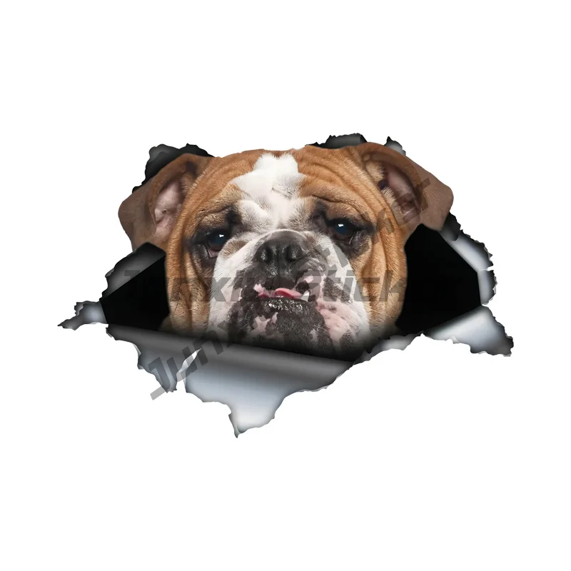 Bulldog Car Bumper Window Stickers for Car Truck Van Fashion Decals Vinyl Material Stickers
Bulldog Car Bumper Window Stickers for Car Truck Van Fashion Decals Vinyl Material Stickers