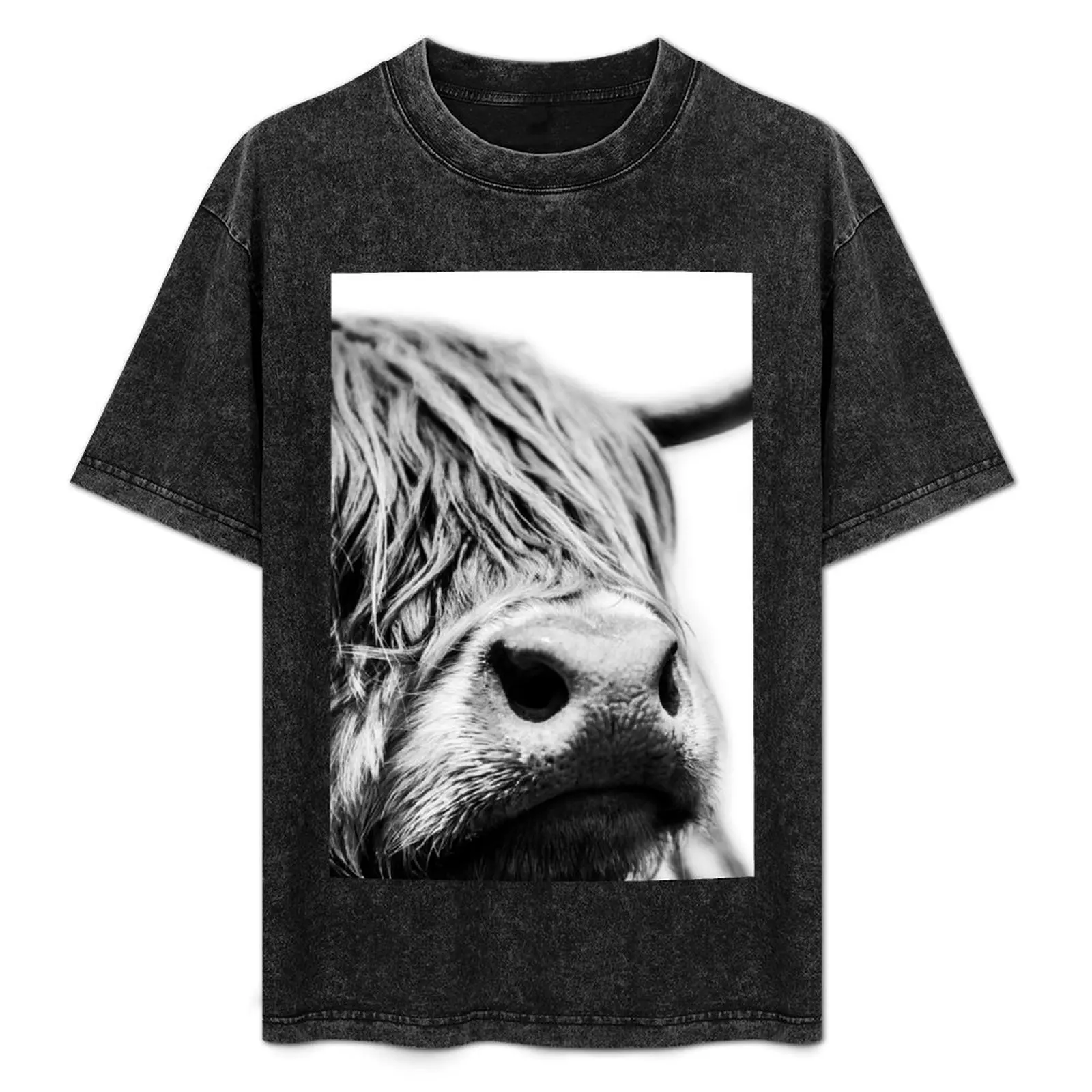 Highland Cow close up in black and white T-Shirt graphic tee shirt tees blue archive Men's t shirts
Highland Cow close up in black and white T-Shirt graphic tee shirt tees blue archive Men's t shirts