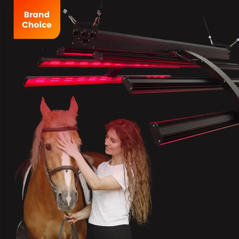 Full Body Equine Therapy Machine with 660nm/850nm/450nm LEDs 700W Power for Horse Stable Use Beauty Personal Care Product
Full Body Equine Therapy Machine with 660nm/850nm/450nm LEDs 700W Power for Horse Stable Use Beauty Personal Care Product