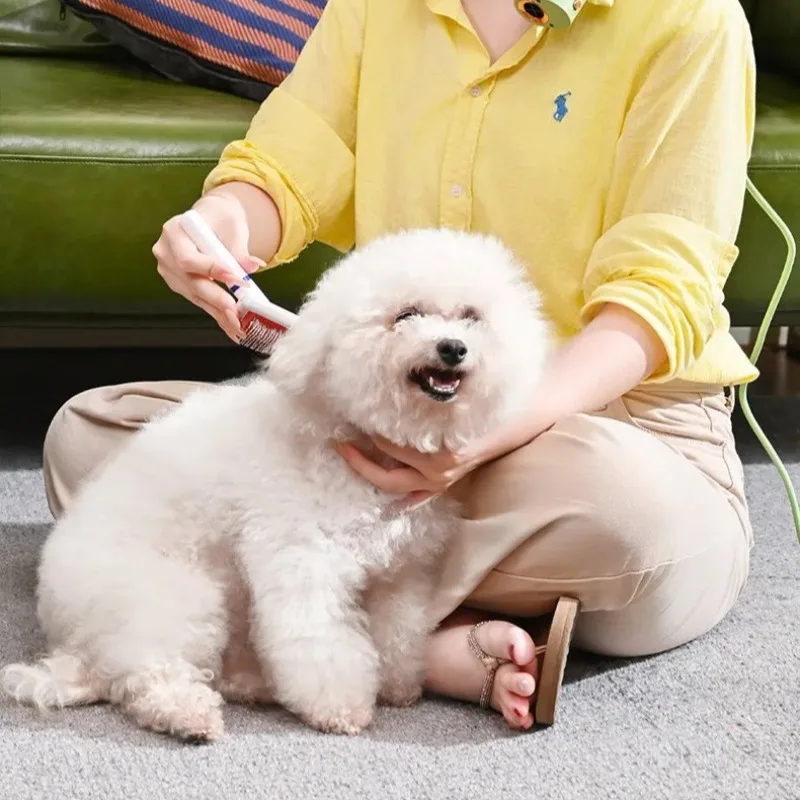 Pet Dryer Dog Hair Dryer Constant Temperature Low Noise High Power Fast Drying Handheld Grooming Blower for Dog Cat Bath
Pet Dryer Dog Hair Dryer Constant Temperature Low Noise High Power Fast Drying Handheld Grooming Blower for Dog Cat Bath