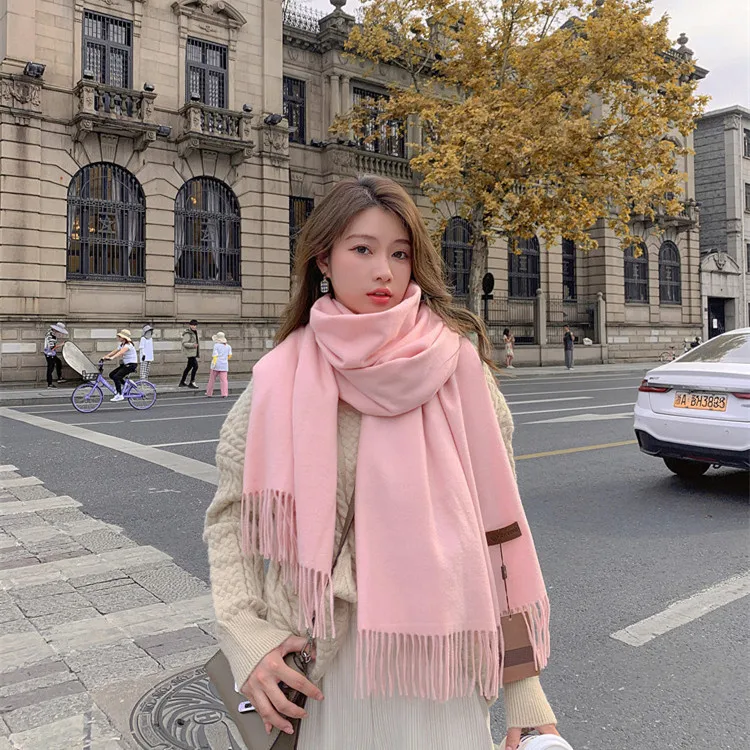 2024 New Scarf Winter Warm Cashmere Women Long Pashmina Foulard Female Scarves Lady Tassel Shawl Wraps Travel Poncho Blanket Y81
2024 New Scarf Winter Warm Cashmere Women Long Pashmina Foulard Female Scarves Lady Tassel Shawl Wraps Travel Poncho Blanket Y81