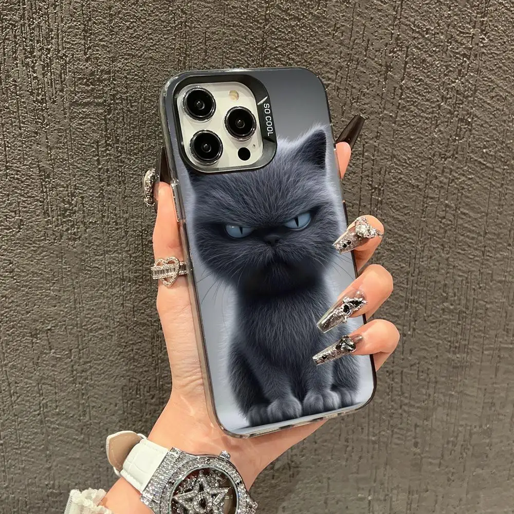 Blue-eyed grey cat design phone case for iPhone 16 15 14 13 12 11 Pro/ Max/Plus shock-proof rear cover anti-fingerprint
Blue-eyed grey cat design phone case for iPhone 16 15 14 13 12 11 Pro/ Max/Plus shock-proof rear cover anti-fingerprint