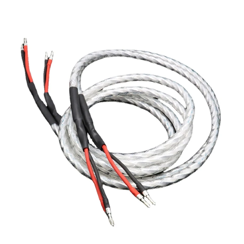 Pair HiFi Audio Loudspeaker Wire Liton OFC Silver Plated Speaker Cable Banana Plug
Pair HiFi Audio Loudspeaker Wire Liton OFC Silver Plated Speaker Cable Banana Plug