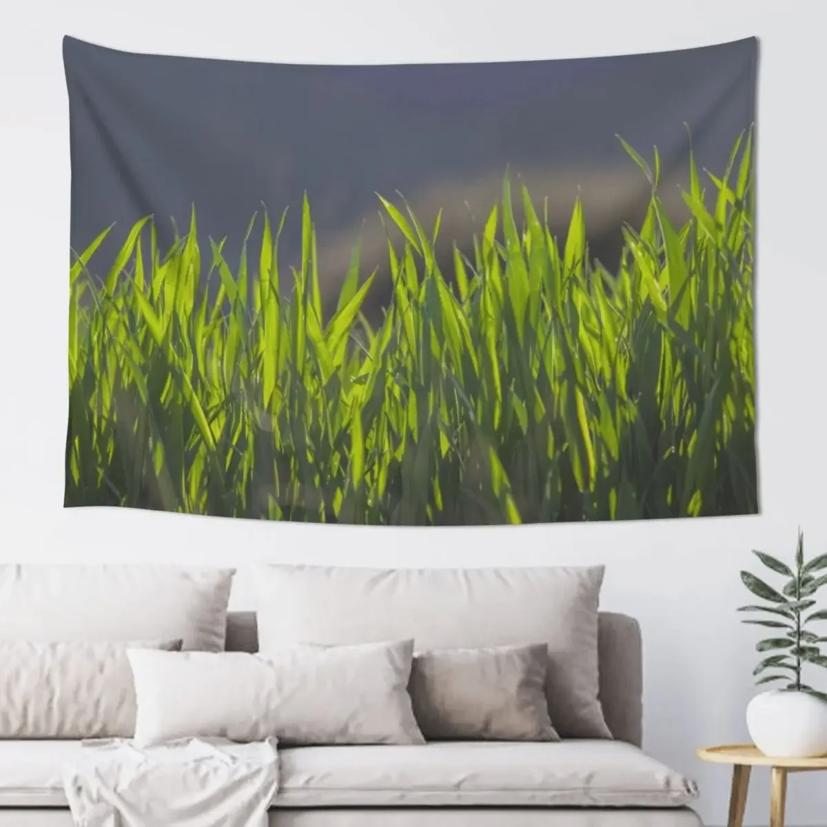 Grass Tapestry Cute Room Things Aesthetic Room Decor Wall Hanging Wall Home Decorations Tapestry
Grass Tapestry Cute Room Things Aesthetic Room Decor Wall Hanging Wall Home Decorations Tapestry