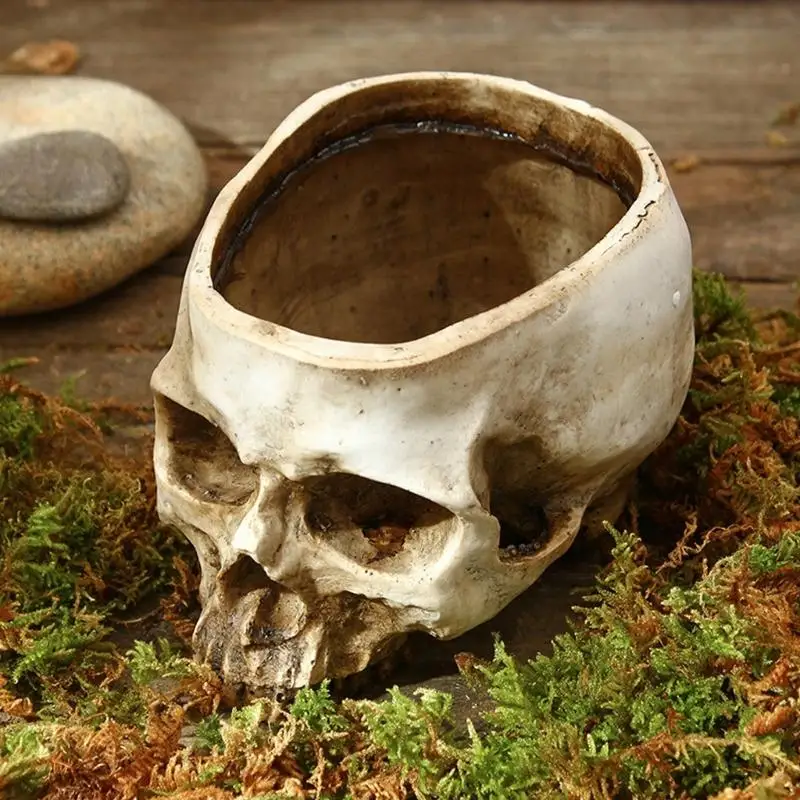 G6KF Gothicism Decoration Resins Flower Pot Unusual Anatomical Head Flowerpots
G6KF Gothicism Decoration Resins Flower Pot Unusual Anatomical Head Flowerpots