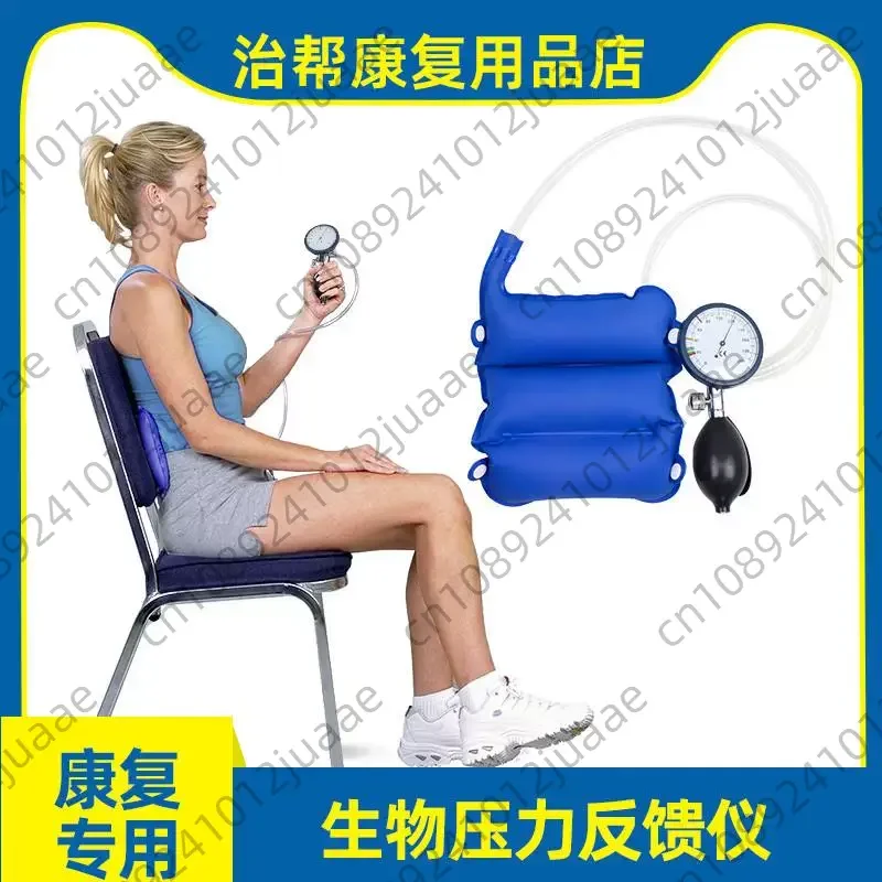 Airbag Inflation Biopressure Feedback Instrument Airbag Core Muscle Activation Instrument
Airbag Inflation Biopressure Feedback Instrument Airbag Core Muscle Activation Instrument