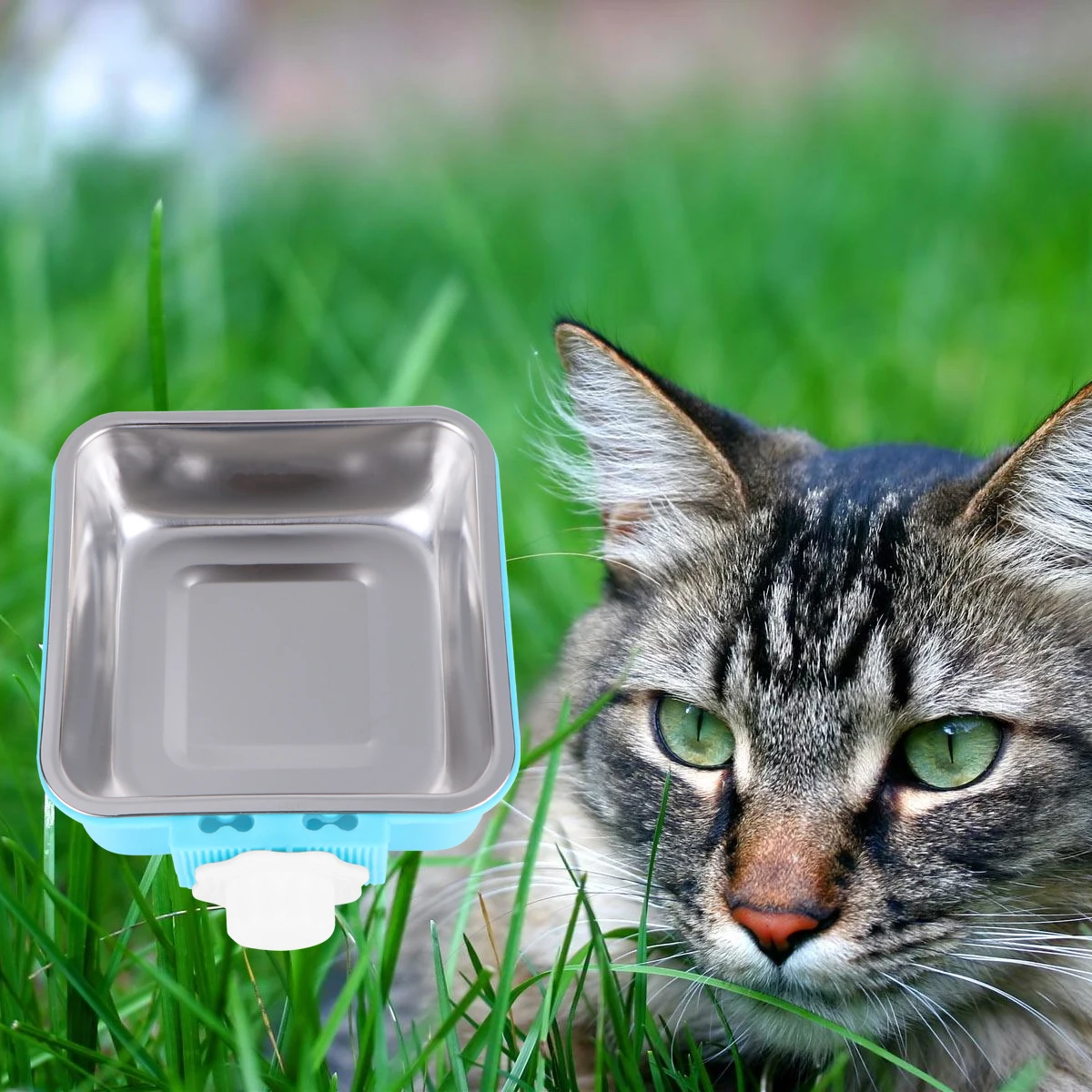 Pet Feeding Bowl for Dog Cat Hanging Fixed Stainless Steel Feeder Cage Removable Easy Cleaning Food Water Bowl Pet Supplies -
Pet Feeding Bowl for Dog Cat Hanging Fixed Stainless Steel Feeder Cage Removable Easy Cleaning Food Water Bowl Pet Supplies -