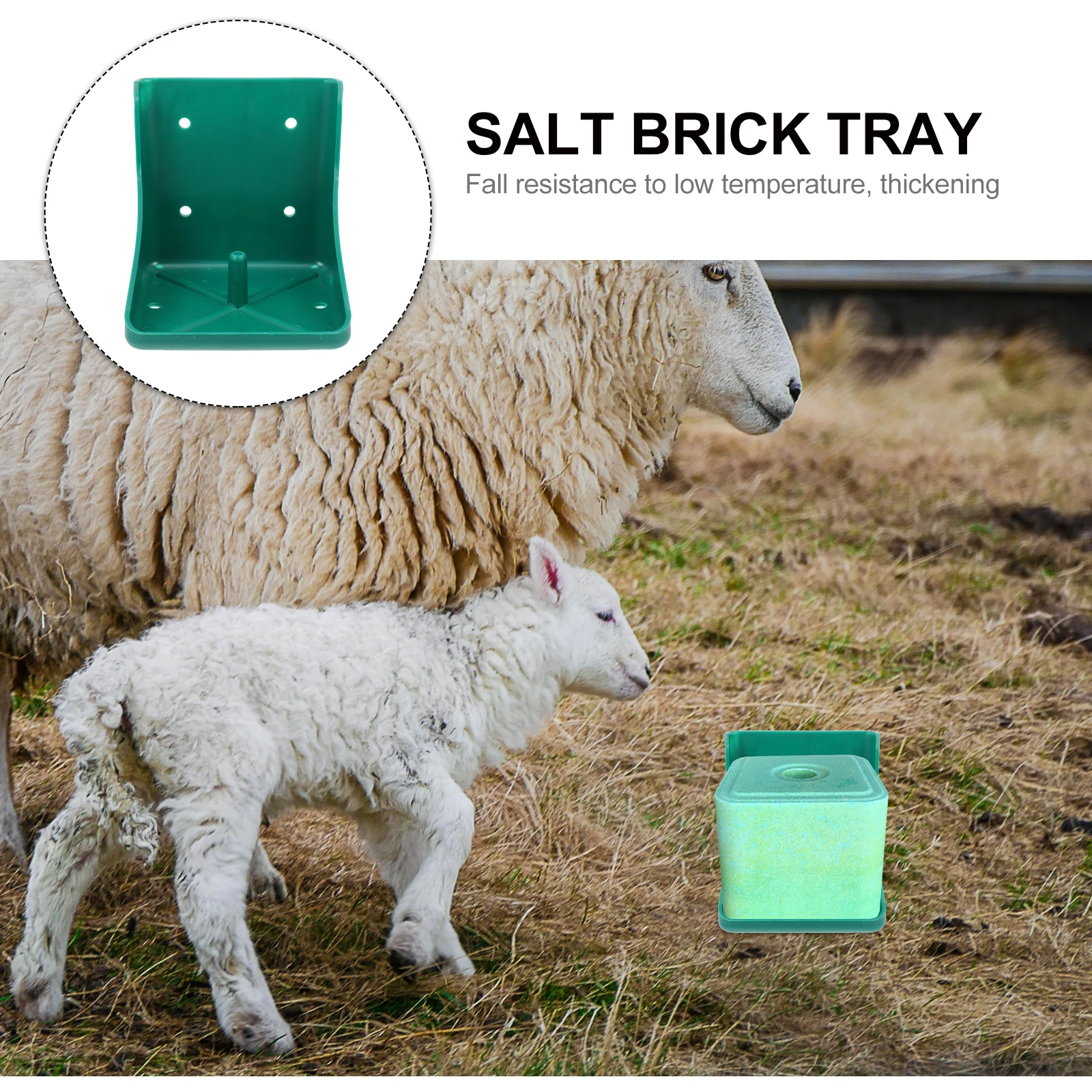 Salt Brick Licking Box Pp Fodder Storage Container Livestock Feeder Tray Goat Farm Equipment Sheep Bracket Cattle Supplies
Salt Brick Licking Box Pp Fodder Storage Container Livestock Feeder Tray Goat Farm Equipment Sheep Bracket Cattle Supplies