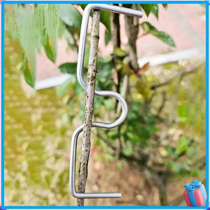 Discount 30 Pcs Fruit Tree Branch Puller Tying Machine Farm Tools Plum Tree Open Angle Pull Branch Stereotyped Branch Bending Du
Discount 30 Pcs Fruit Tree Branch Puller Tying Machine Farm Tools Plum Tree Open Angle Pull Branch Stereotyped Branch Bending Du
