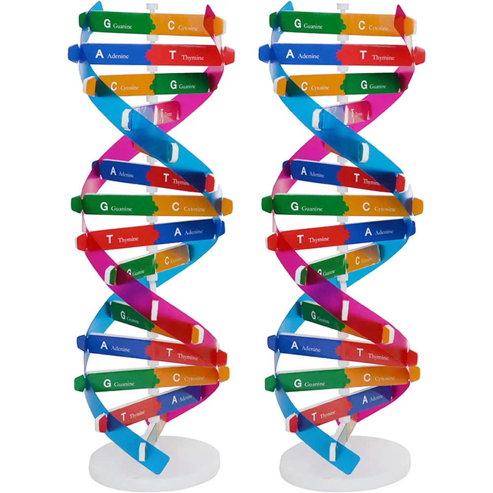 2 Pcs DNA Model for Teaching Biology Aids Toy Scientific Learning Toys Double Helix Abs Science Child
2 Pcs DNA Model for Teaching Biology Aids Toy Scientific Learning Toys Double Helix Abs Science Child
