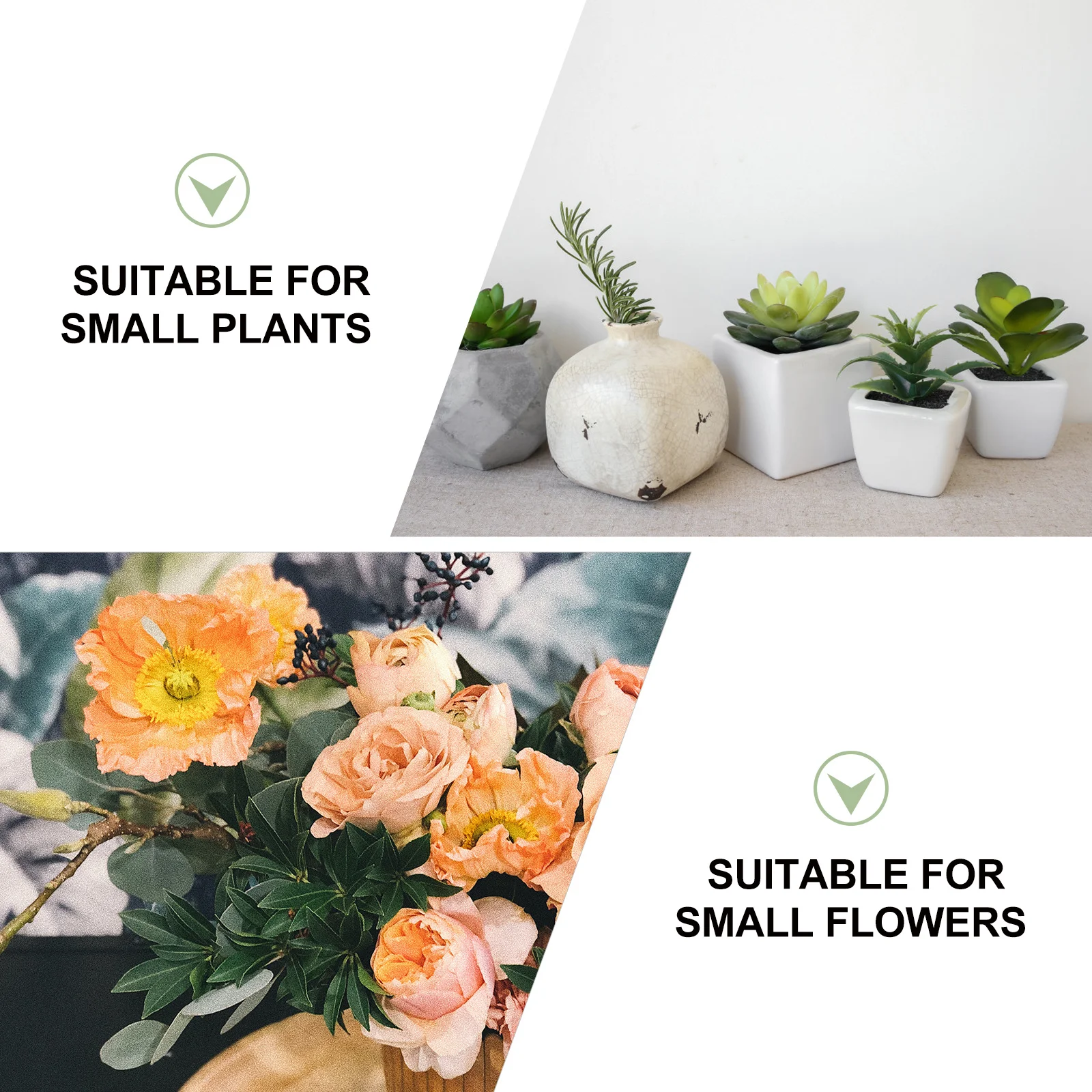10Pcs Mini Plastic Vases Small Creative Flower Pots for Indoor Plants Modern Home Decoration Office Restaurant Coffee Bar
10Pcs Mini Plastic Vases Small Creative Flower Pots for Indoor Plants Modern Home Decoration Office Restaurant Coffee Bar