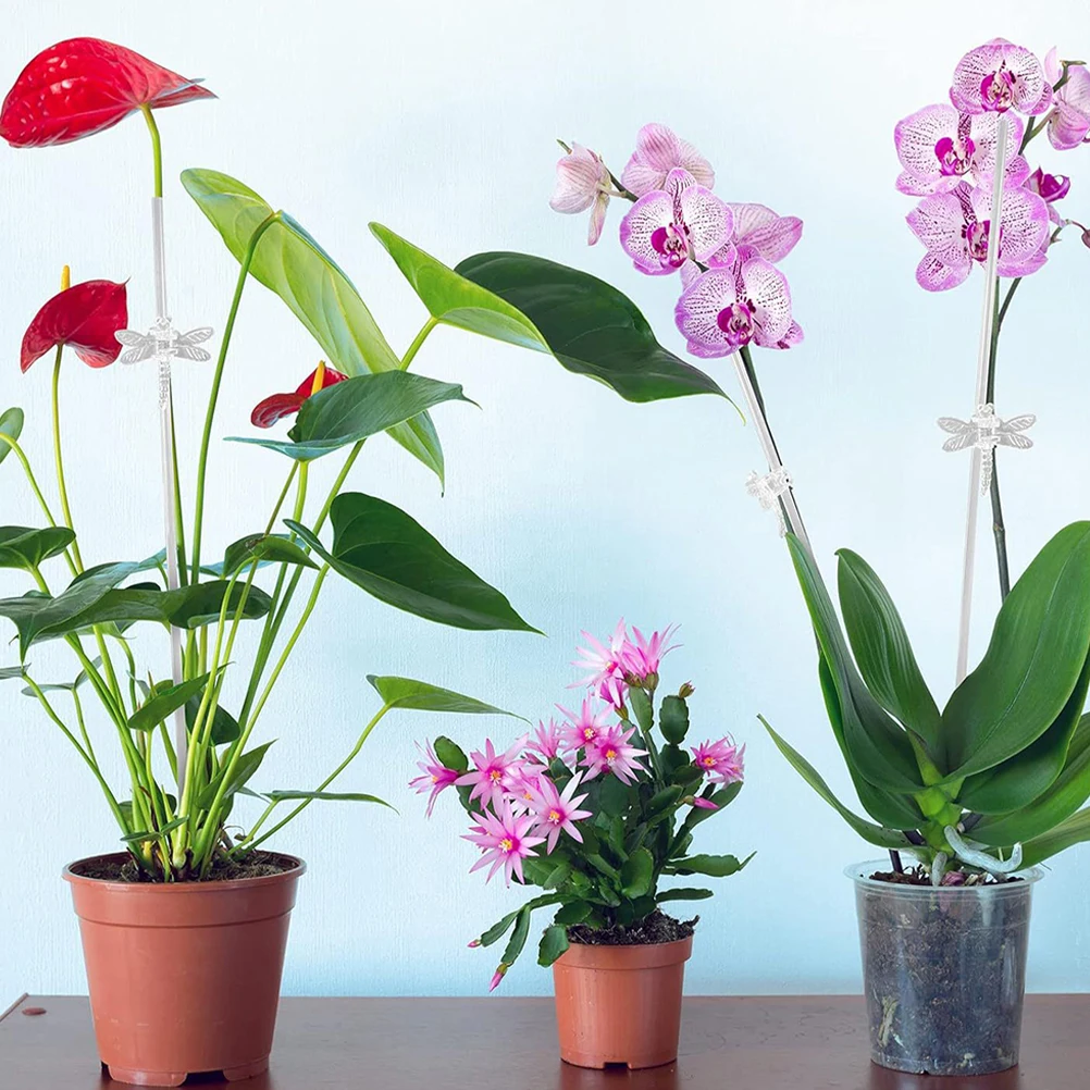 20 set Transparent Plant Stake Acrylic Support For Vine Climbing Plants Garden Decoration Flower Stem Holder Rack
20 set Transparent Plant Stake Acrylic Support For Vine Climbing Plants Garden Decoration Flower Stem Holder Rack