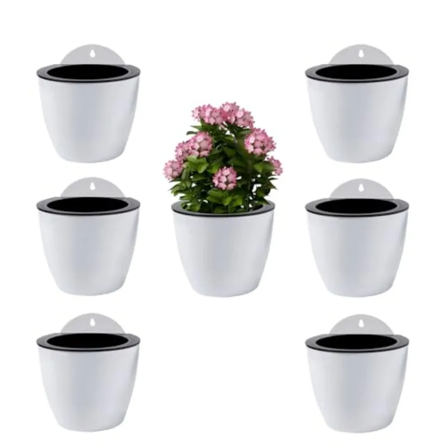 Wall Planters for Indoor Plants 7 Pack Hanging Planters Large 7 Inch with Hooks Wall Pots for Plants 7.28 x 6.1 inches - PL35
Wall Planters for Indoor Plants 7 Pack Hanging Planters Large 7 Inch with Hooks Wall Pots for Plants 7.28 x 6.1 inches - PL35