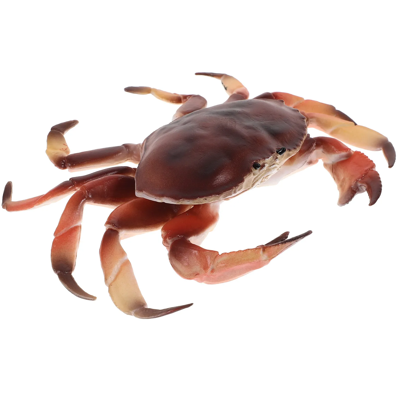 Realistic Plastic Simulation Crab Educational Artificial Crab Sculpture for Room Nursery Garden Decoration Animal Figure
Realistic Plastic Simulation Crab Educational Artificial Crab Sculpture for Room Nursery Garden Decoration Animal Figure