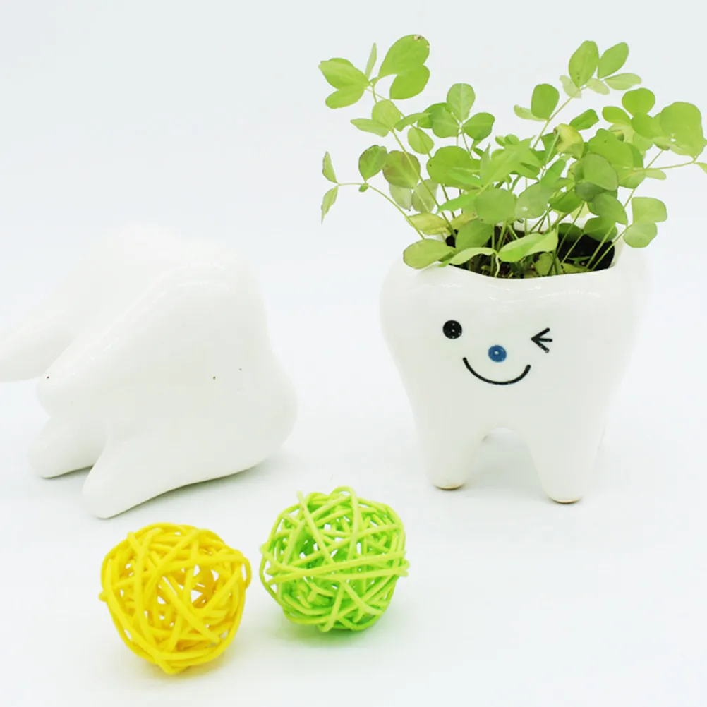 Набор из 2 керамических кашпо в форме зуба, креативные мини-горшки для растений, декор для дома, для суккулентов, кактусов, алоэ вера, для стола, подоконника, офиса
Набор из 2 керамических кашпо в форме зуба, креативные мини-горшки для растений, декор для дома, для суккулентов, кактусов, алоэ вера, для стола, подоконника, офиса