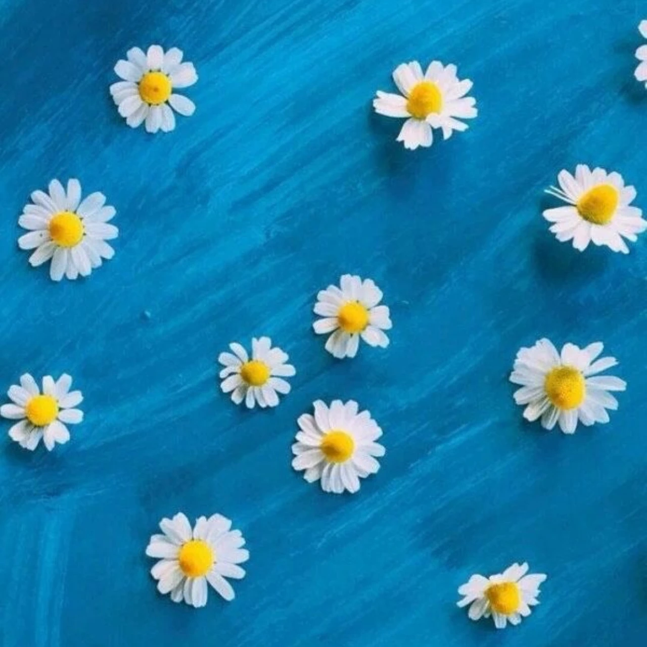 GPM Aluminum 7075 Rear Chassis Support Brace For TRAXXAS 1/8 Sledge Monster Truck 9521
GPM Aluminum 7075 Rear Chassis Support Brace For TRAXXAS 1/8 Sledge Monster Truck 9521