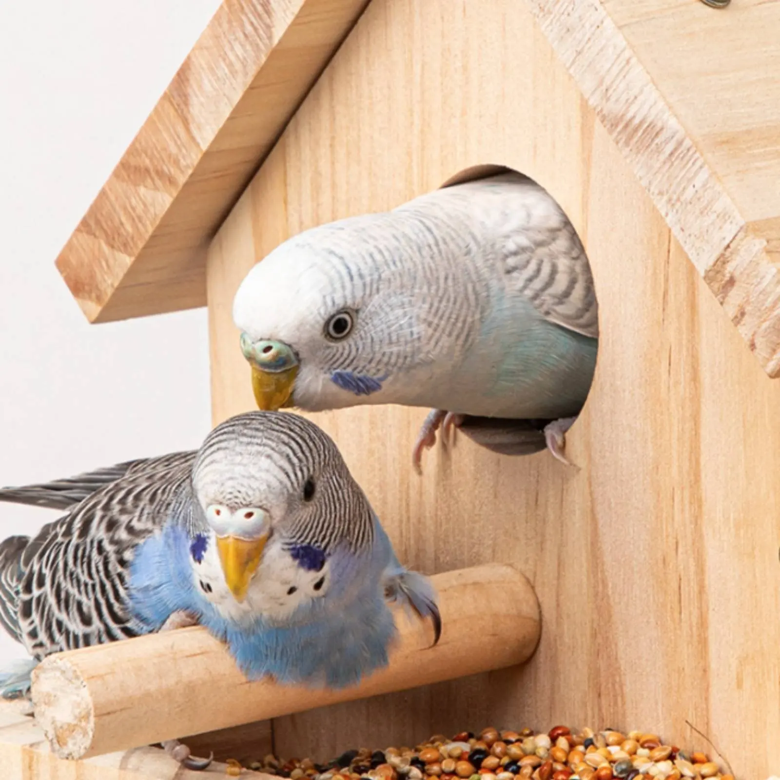 Wooden Birdhouse Weather Resistant Hanging Wooden Birdhouse Outdoor Bird Nesting Box Decorative Parrot Feeder House Long-Lasting
Wooden Birdhouse Weather Resistant Hanging Wooden Birdhouse Outdoor Bird Nesting Box Decorative Parrot Feeder House Long-Lasting