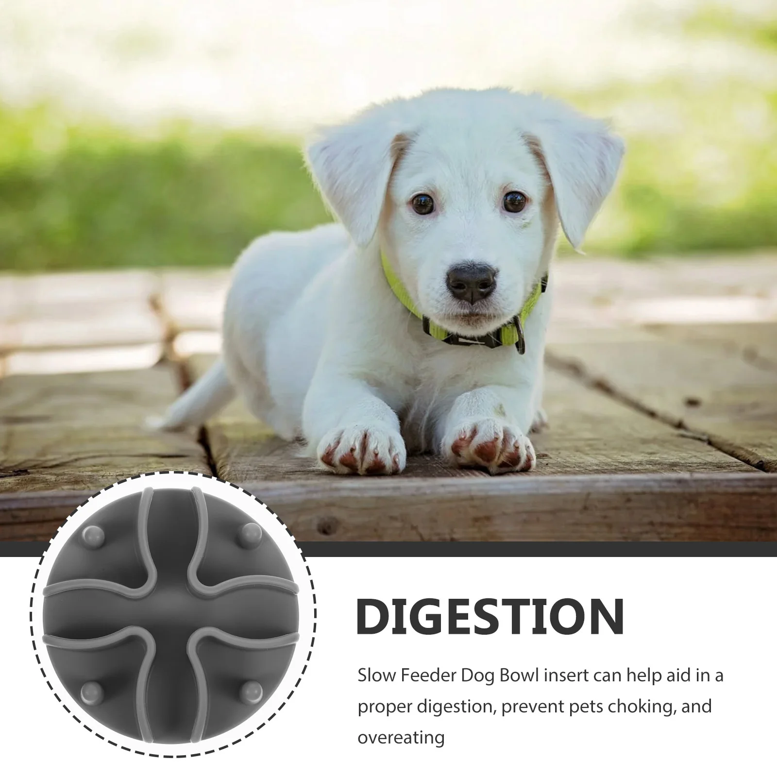 Slow Feeder Insert for Dogs Cats Slow Eating Pet Bowl Aid Proper Digestion Compact Size Fits Most Bowls Household Feeding
Slow Feeder Insert for Dogs Cats Slow Eating Pet Bowl Aid Proper Digestion Compact Size Fits Most Bowls Household Feeding