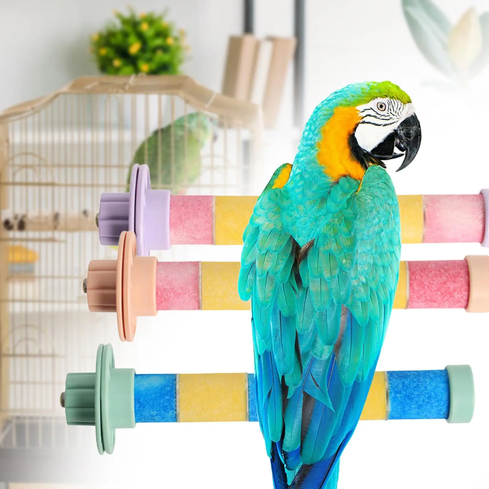 Pet Parrot Perch,Parakeet Cage Perch,Bite Platform Parakeet Toys,Bird Stand Bird
Pet Parrot Perch,Parakeet Cage Perch,Bite Platform Parakeet Toys,Bird Stand Bird