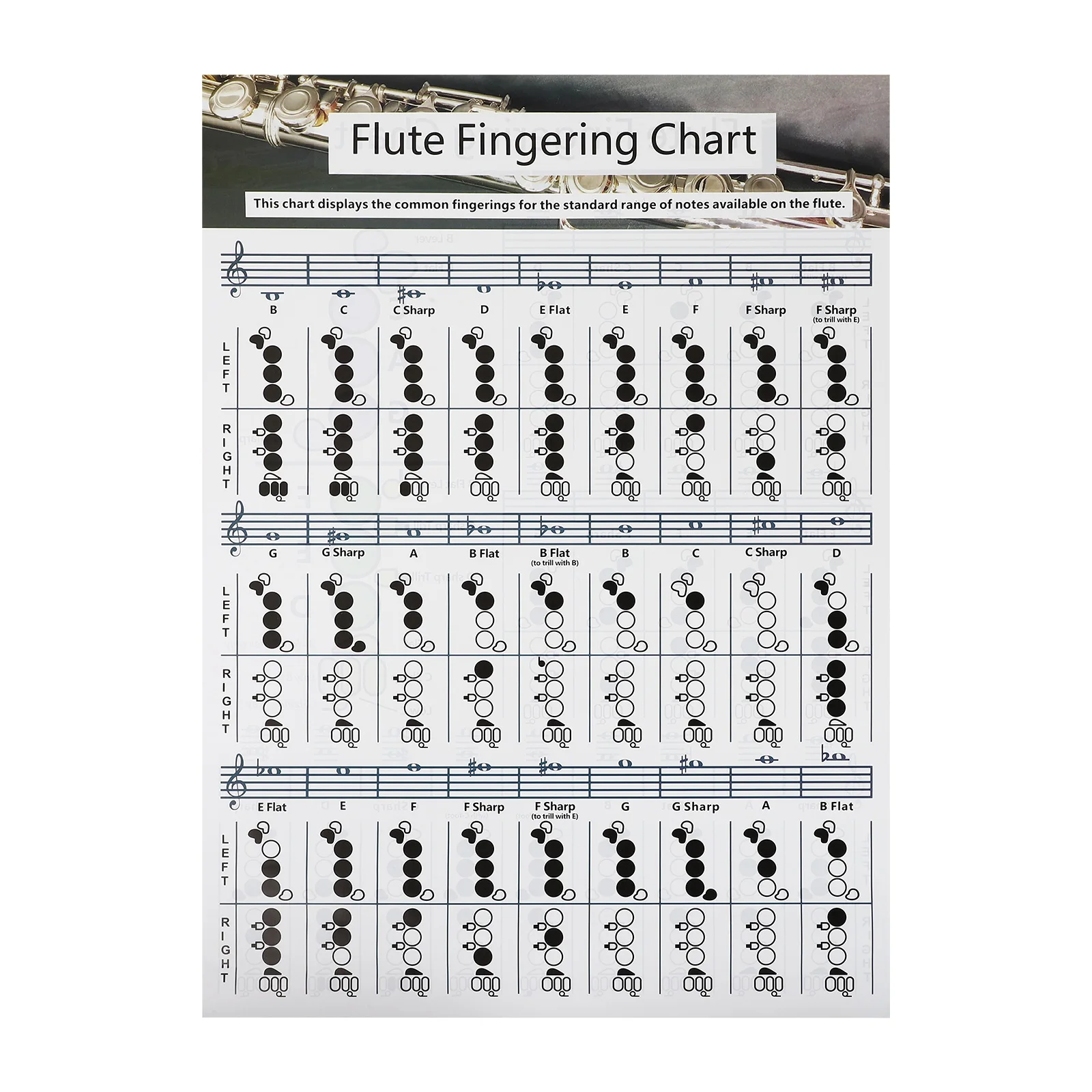 Flute Fingering Diagram Chord Practice Guide Note Chart Poster Keys for Pocket Useful
Flute Fingering Diagram Chord Practice Guide Note Chart Poster Keys for Pocket Useful