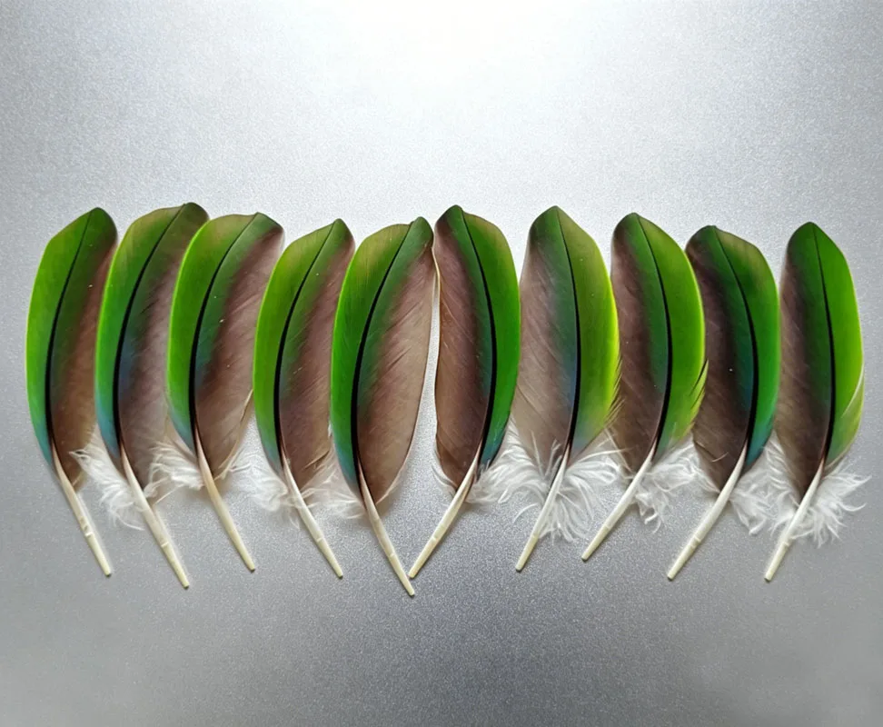 10Pcs/lot 9-15cm long Gorgeous Vibrant Green Parrot Small Wing Feathers, Naturally Shed Decorative Feathers for Carnival/Crafts
10Pcs/lot 9-15cm long Gorgeous Vibrant Green Parrot Small Wing Feathers, Naturally Shed Decorative Feathers for Carnival/Crafts
