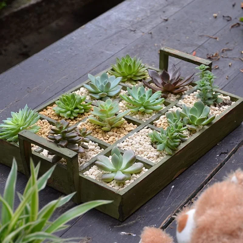 Versatile Vintage Green Farmhouse Decorative Handmade Wood 12 Compartments Tray with Handle
Versatile Vintage Green Farmhouse Decorative Handmade Wood 12 Compartments Tray with Handle