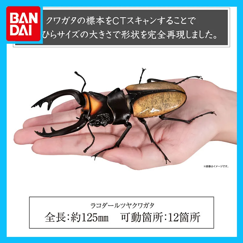 Bandai Original Biological Atlas Anime Figure Gashapon Antlers 09 Gold Ghost Shovel Action Figure Toys for Boys Girls Kids Gift
Bandai Original Biological Atlas Anime Figure Gashapon Antlers 09 Gold Ghost Shovel Action Figure Toys for Boys Girls Kids Gift