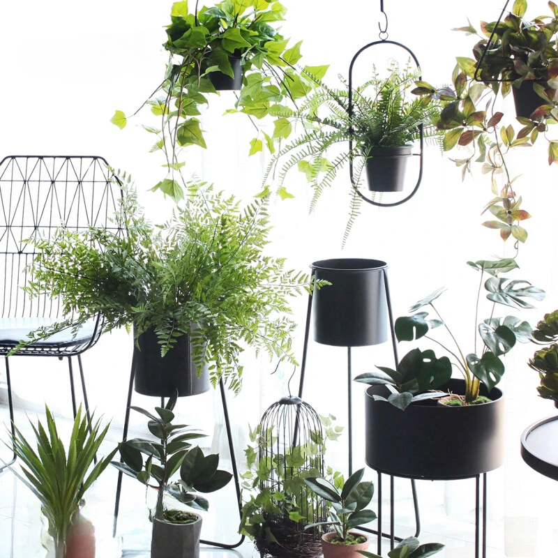 Nordic Black Flower Stand Iron Hanging Planter for Indoor Plants Balcony Living Room Greenery Display Home Decor Gardening Shelf
Nordic Black Flower Stand Iron Hanging Planter for Indoor Plants Balcony Living Room Greenery Display Home Decor Gardening Shelf