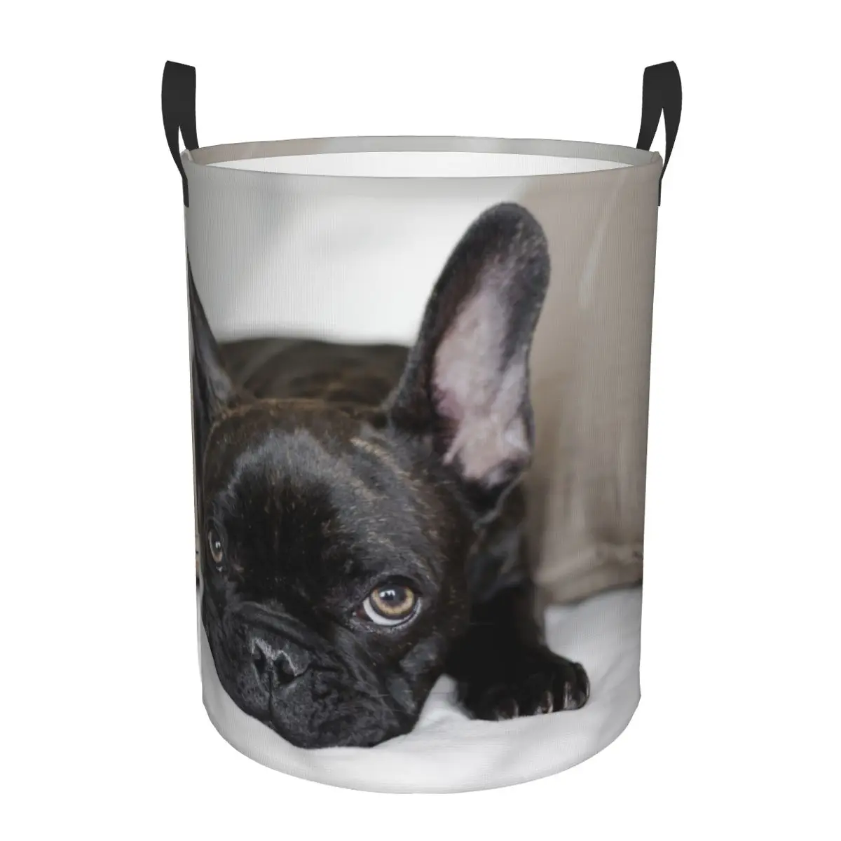 Foldable Laundry Basket for Dirty Clothes French Bulldog Portrait Storage Hamper Kids Baby Home Organizer
Foldable Laundry Basket for Dirty Clothes French Bulldog Portrait Storage Hamper Kids Baby Home Organizer